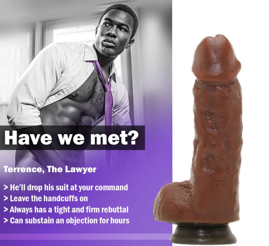 Average Joe, Terrence the Lawyer